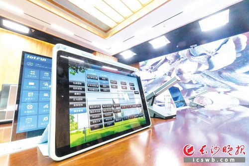 闪耀世界的长沙之光技术服务