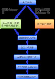 生工生物推出核酸适配体筛选试剂盒与服务，预订享6折优惠